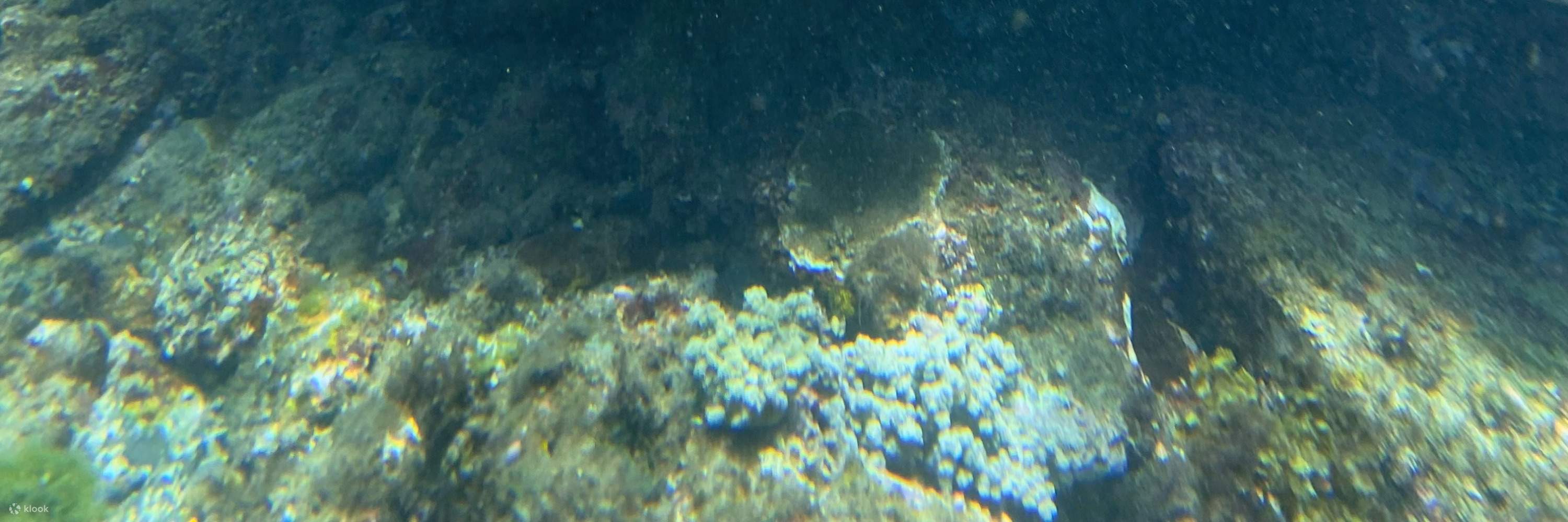 Gongliao, New Taipei: Pulau Emas dan Perak Aodi - Catatan Perahu Pulau - SUP / Kano / Snorkeling / Fotografi Lensa Tunggal