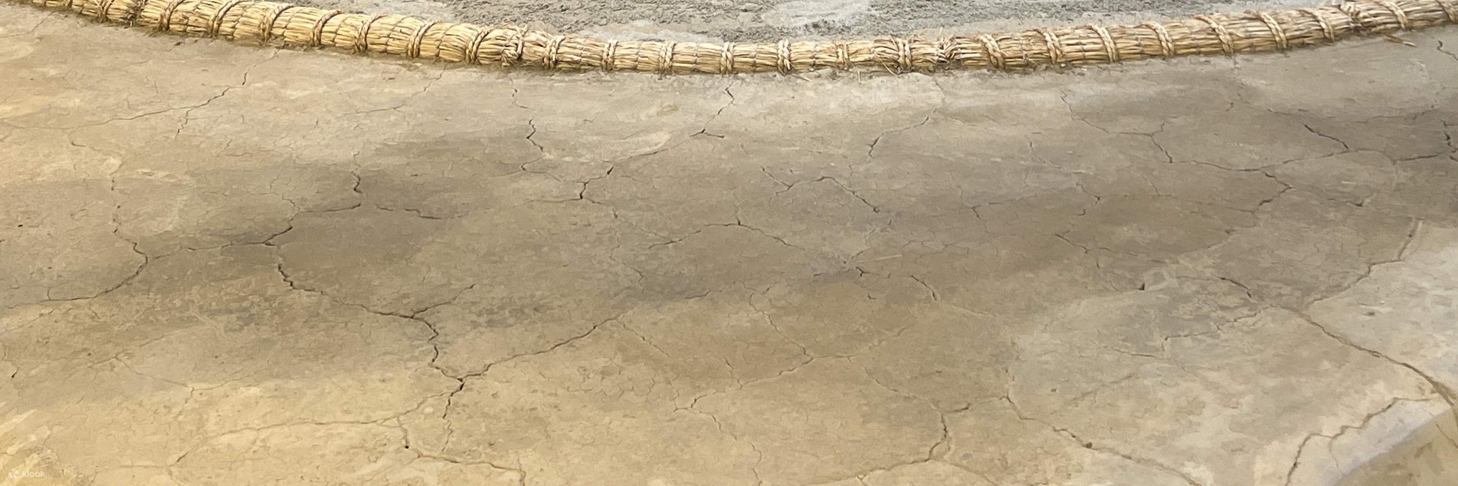 กิจกรรมเรียนรู้เกี่ยวกับซูโม่และทานหม้อไฟจังโกะมื้อเย็นในโตเกียว