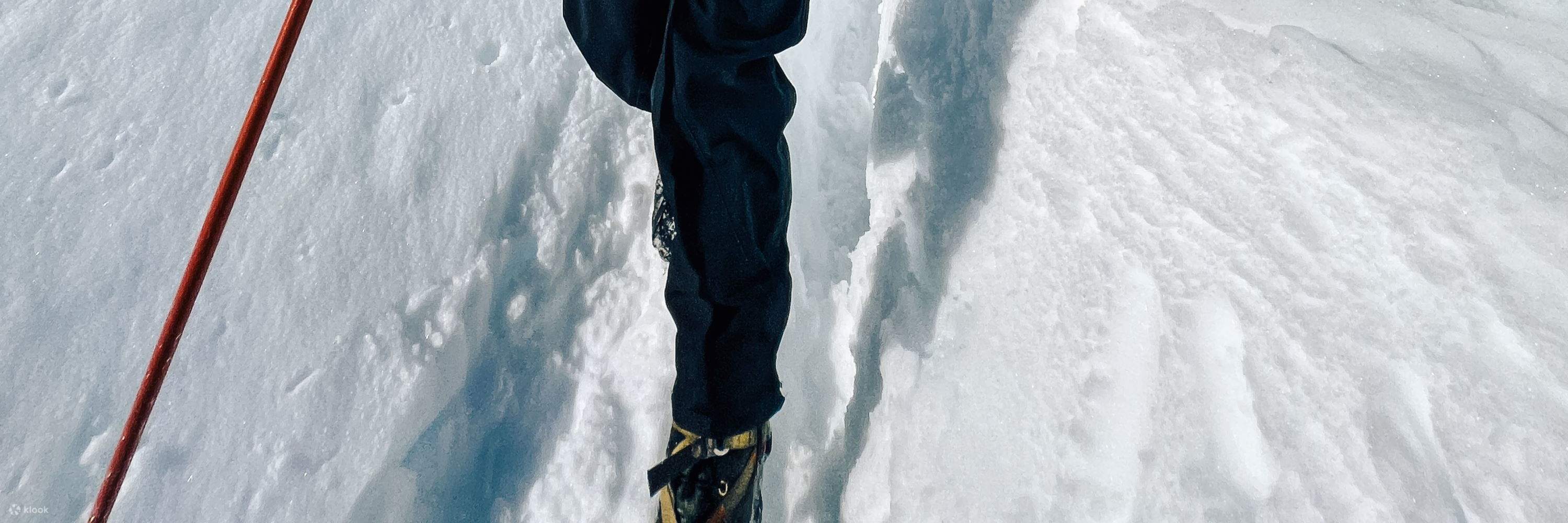 Excursión en helicóptero y senderismo en el glaciar Franz Josef 