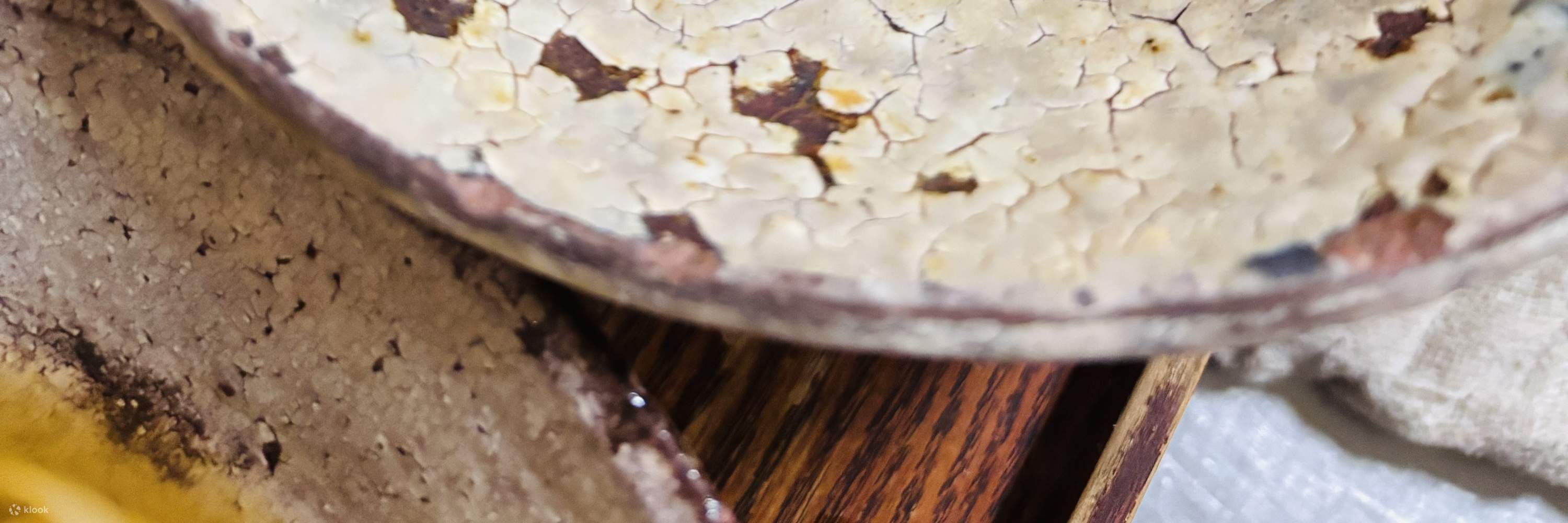 มาทำเส้นอูด้งของคุณเองกัน!