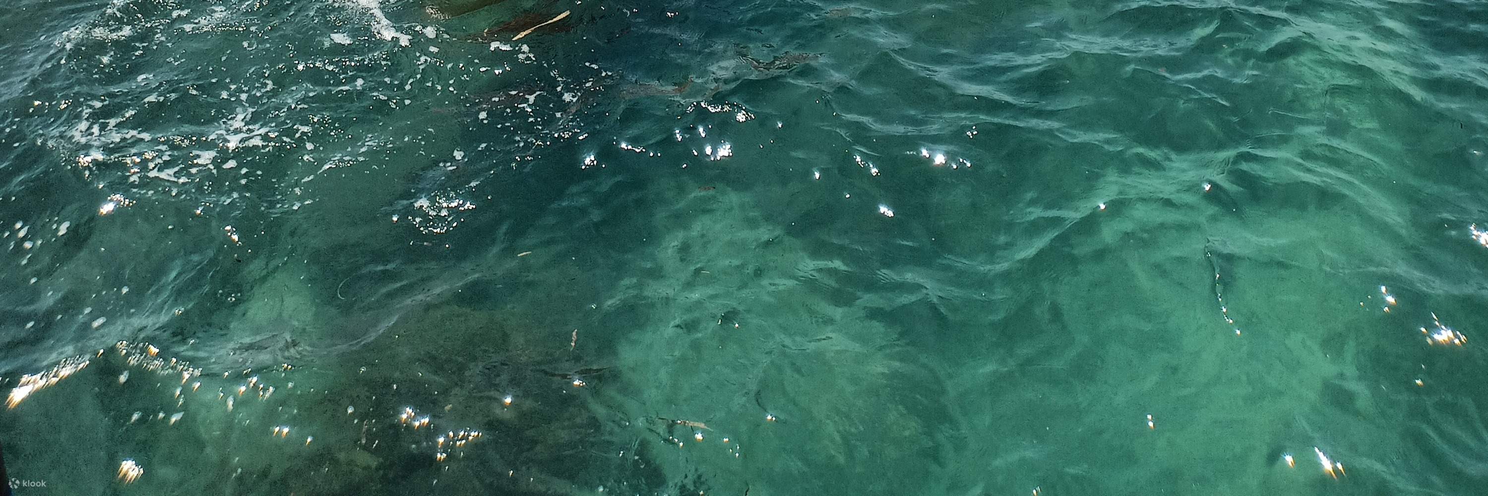 民丹島浮潛、獨木舟及釣魚體驗（含民丹島交通接送）