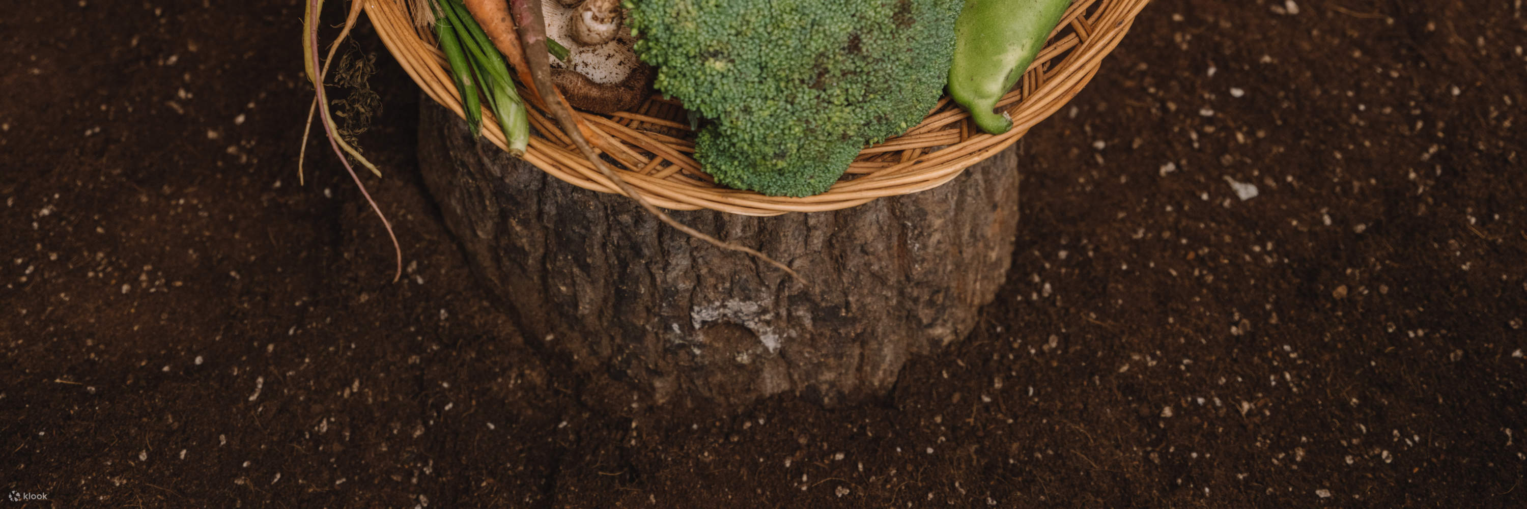 GomawoTOTO: Pengalaman Bermain Tanah Dalaman yang Seronok dan Kelas Memasak