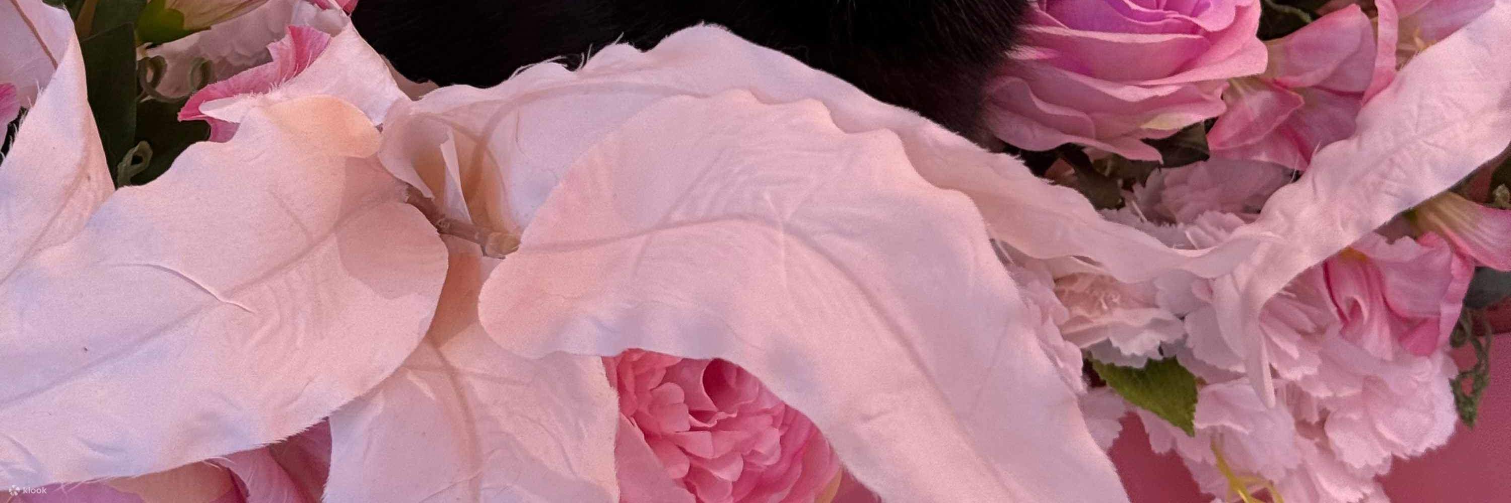 Này các bạn, vui chơi là không thể thiếu đâu nhé! Đi thôi nào!