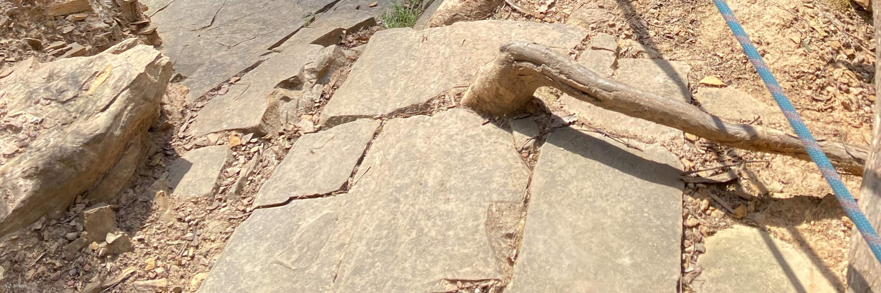 渥倫泰德亞拉河白水激流皮划艇 & 繩索垂降體驗