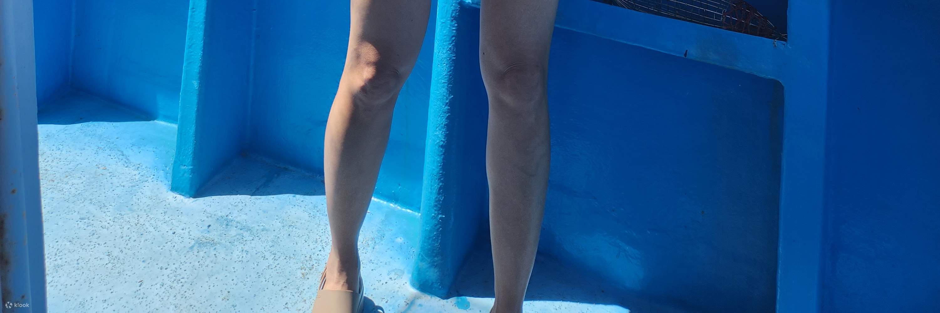 ทัวร์ตกปลาบนเรือในทะเลที่เชจูพร้อมอาหารกลางวัน