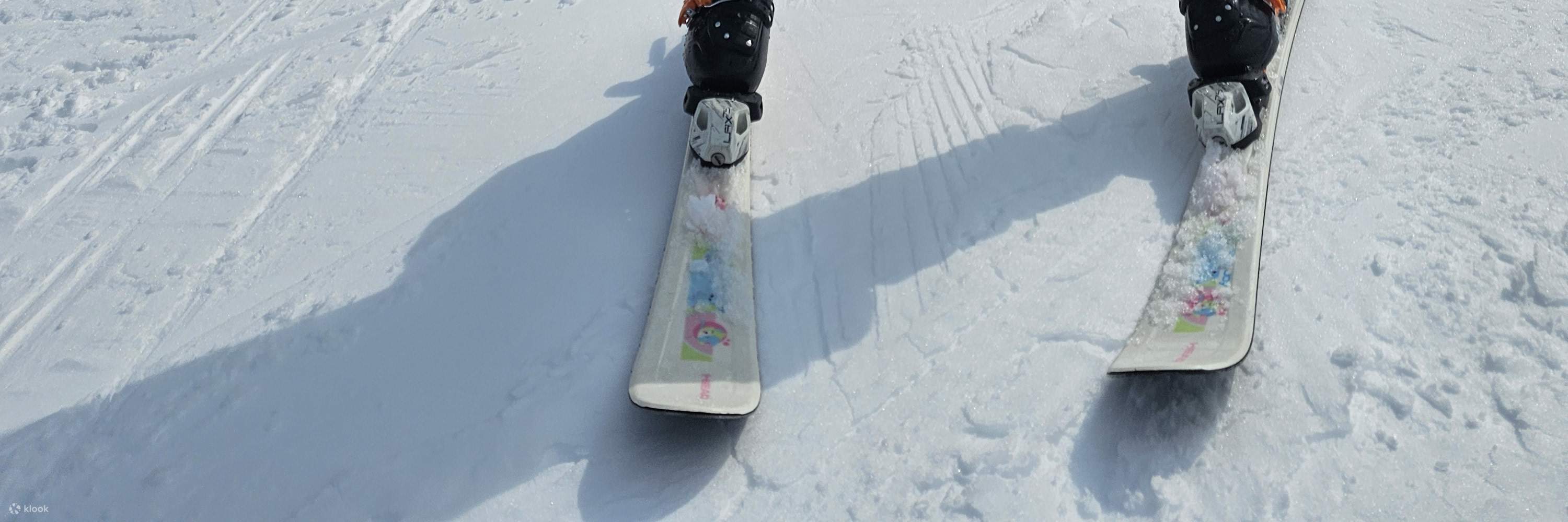 Paquete de Clase Privada de Esquí en WelliHilli Park