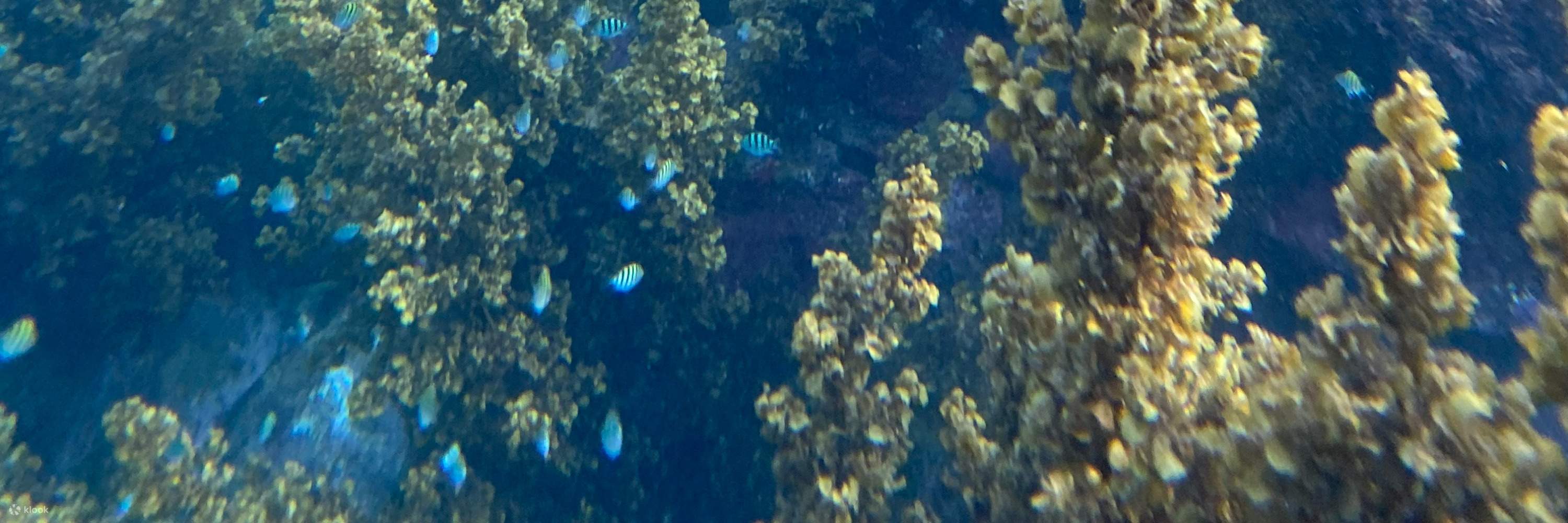 Gongliao, New Taipei: Pulau Emas dan Perak Aodi - Catatan Perahu Pulau - SUP / Kano / Snorkeling / Fotografi Lensa Tunggal