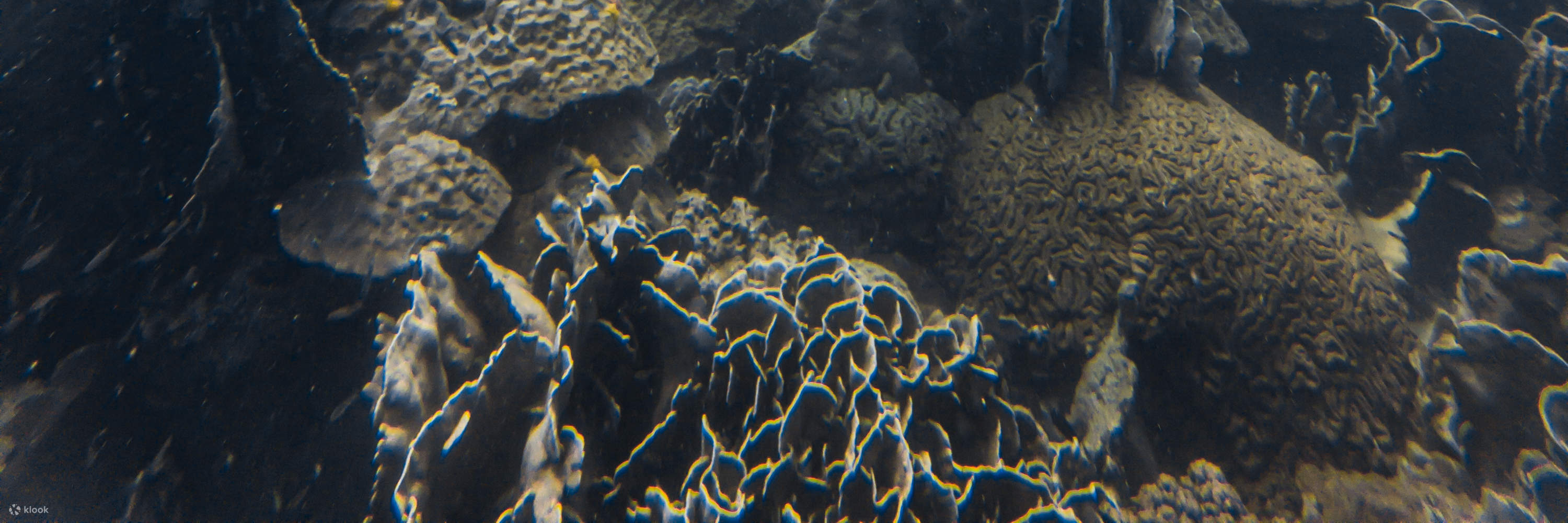 Kursus penyelam perairan terbuka E-learning