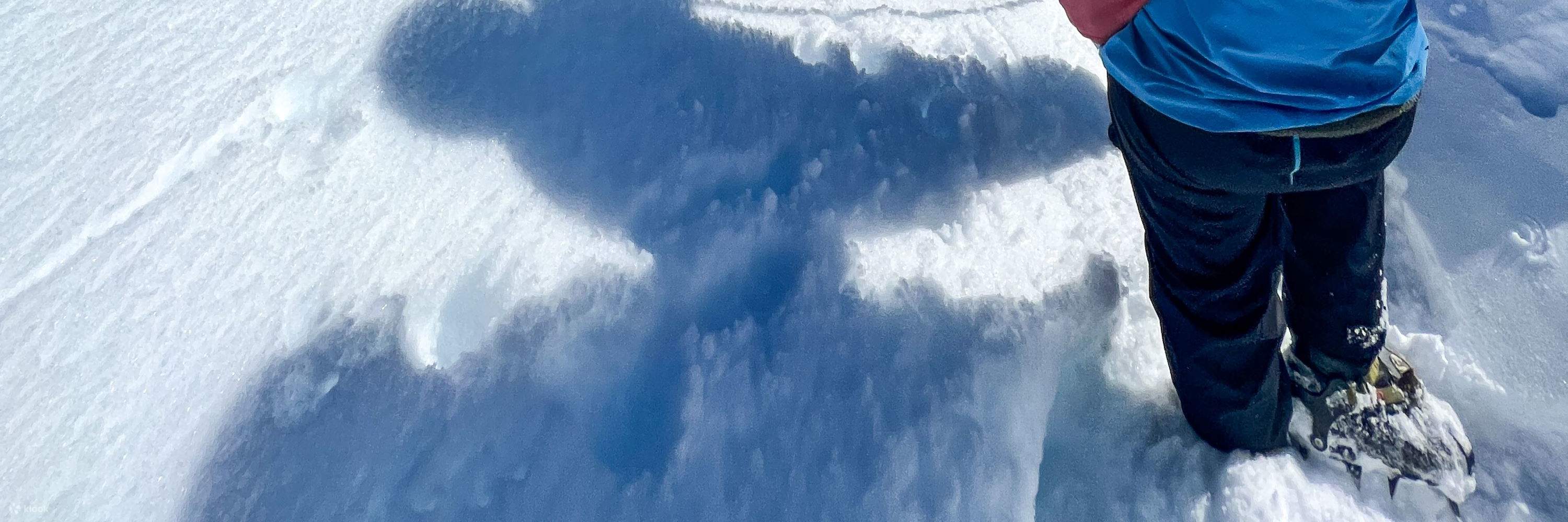 Heli Hike в леднике Франца-Иосифа 