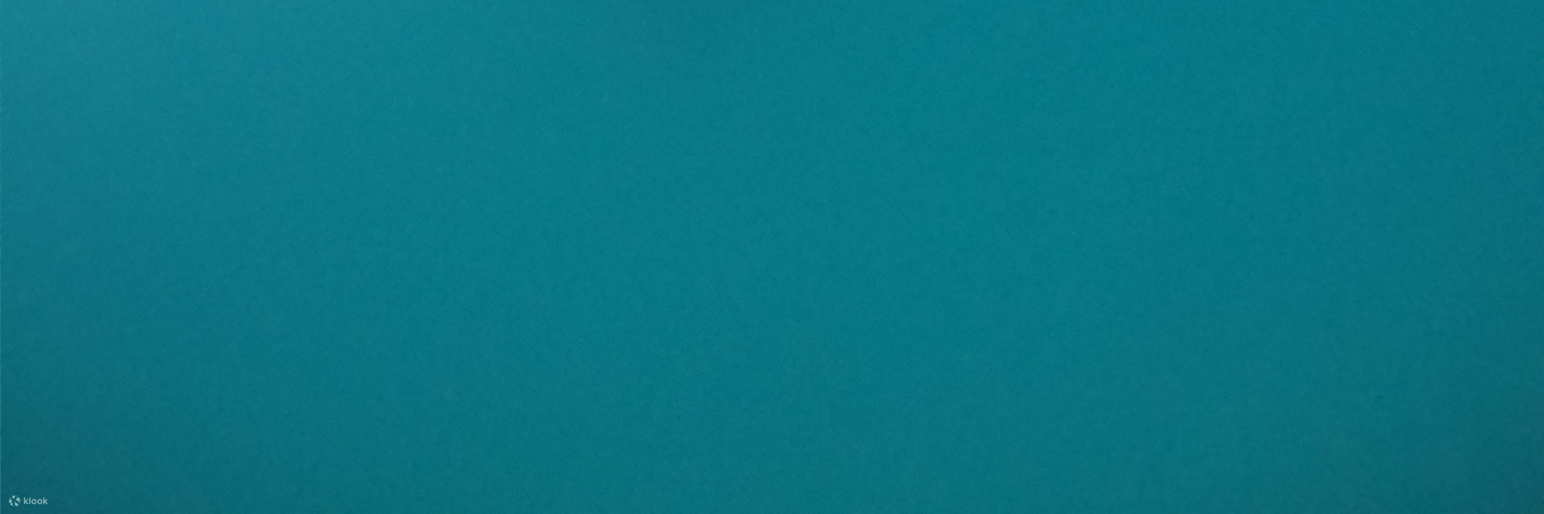 Marsa Alam - Tour đêm nhà cá heo Sataya 