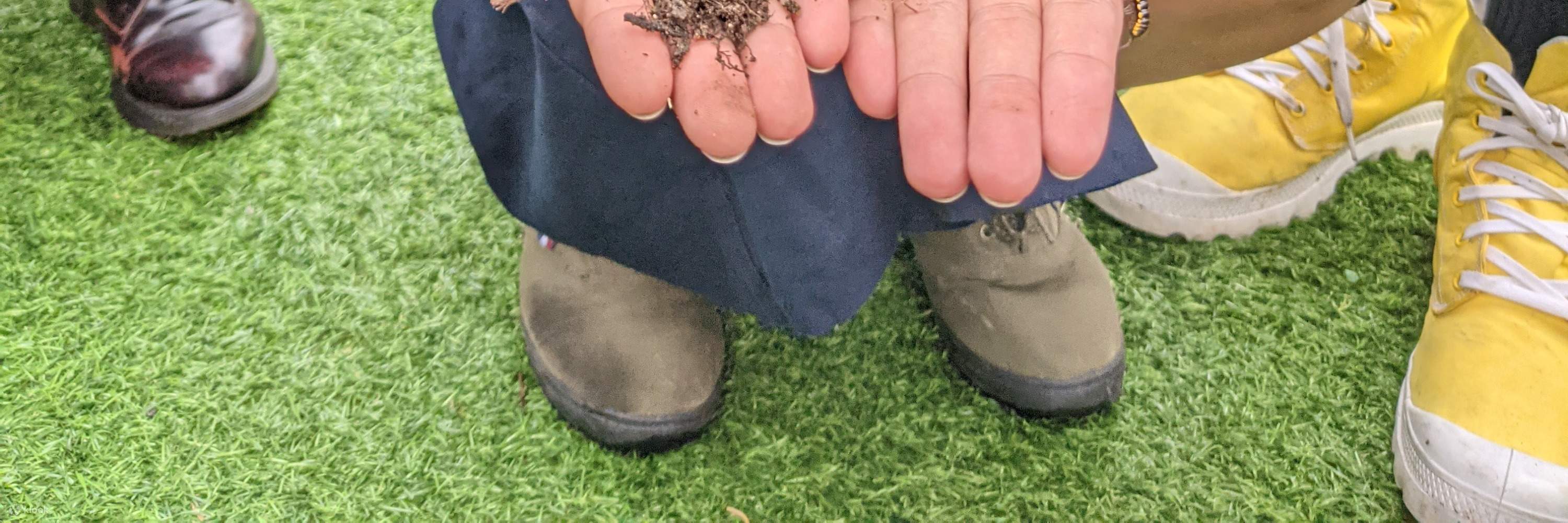 Encuentro con lombrices y experiencia de compostaje con lombrices