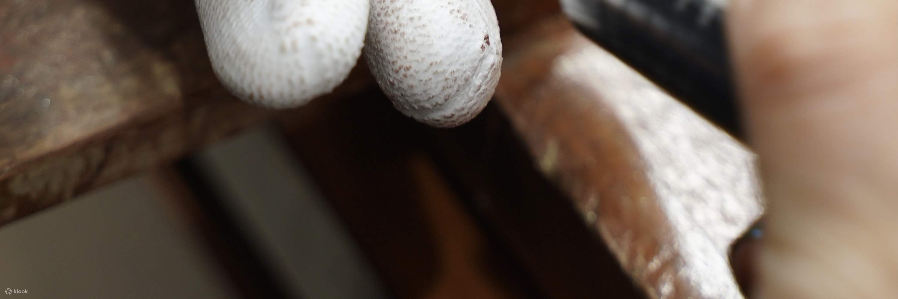 Clase de Elaboración de Joyería de Plata en Hanói