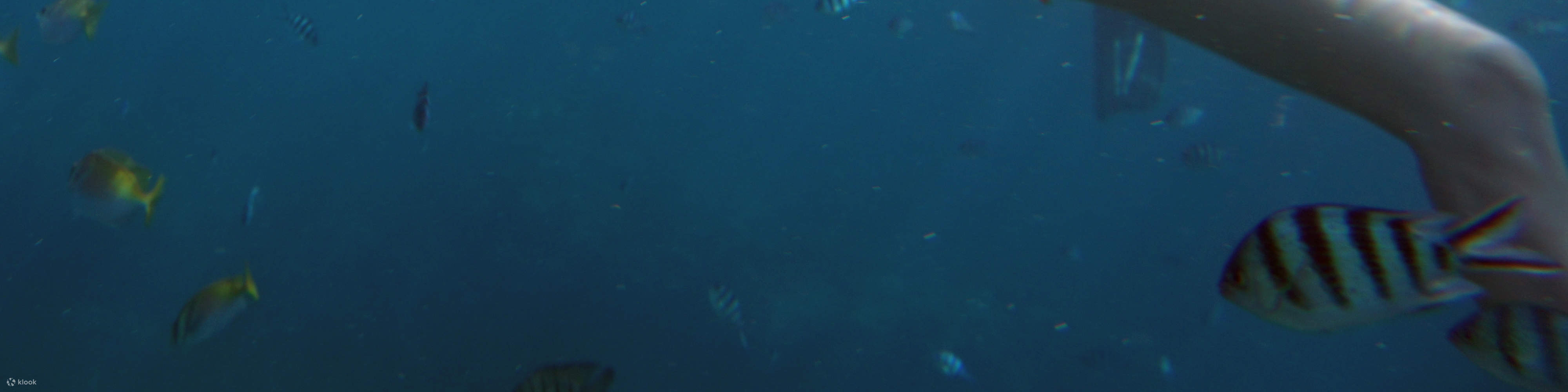 Perjalanan Snorkeling Sehari Penuh