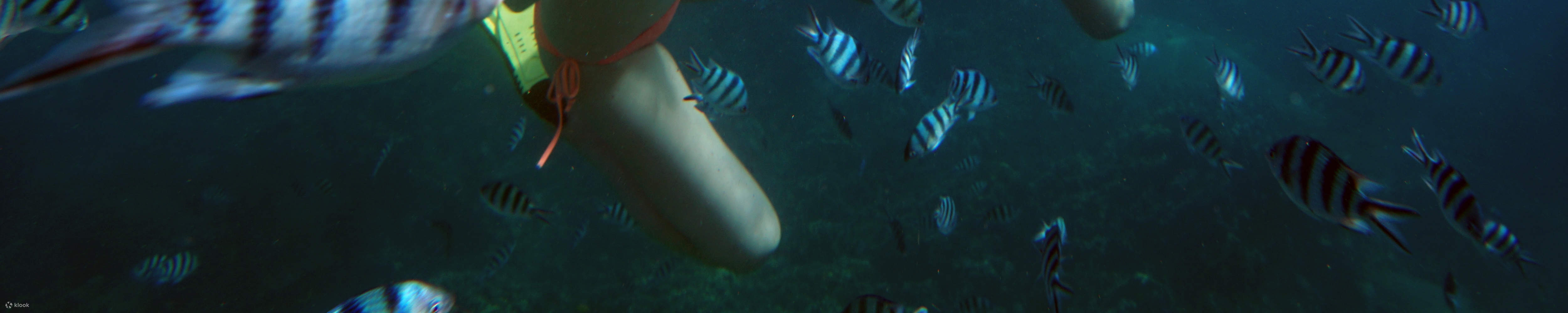 Perjalanan Snorkeling Sehari Penuh