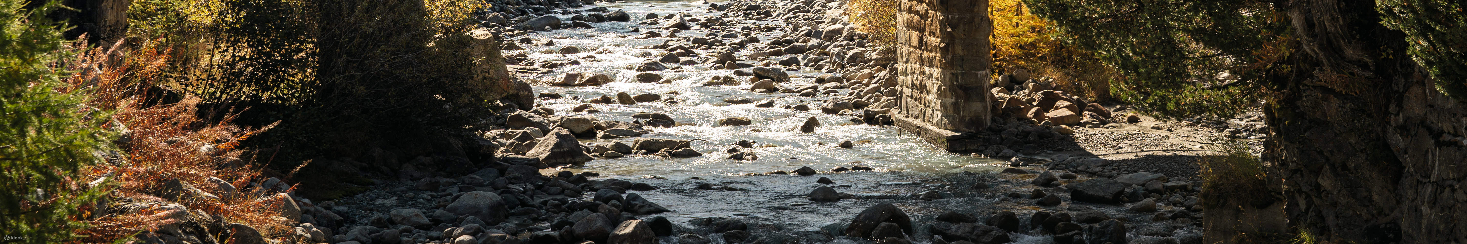 Bernina Express frente al glaciar Morteratsch, Grisones