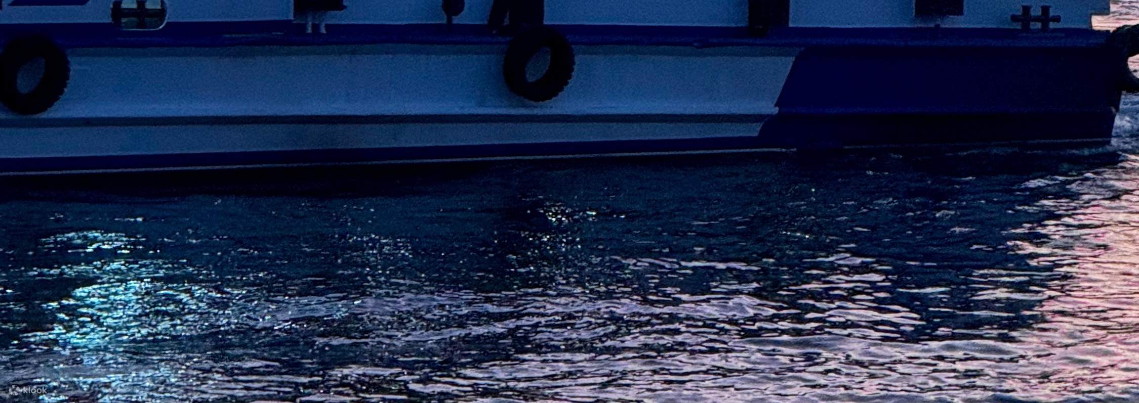 환상적인 이스탄불 선셋 크루즈: 아시아 지역 탐험 3시간