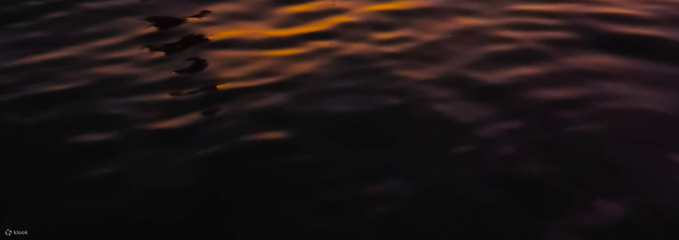 Bạn có thể may mắn chụp được những bức ảnh như thế này vào lúc hoàng hôn. Hướng dẫn viên của chúng tôi luôn cố gắng hết mình để giúp bạn có được những bức ảnh đẹp.