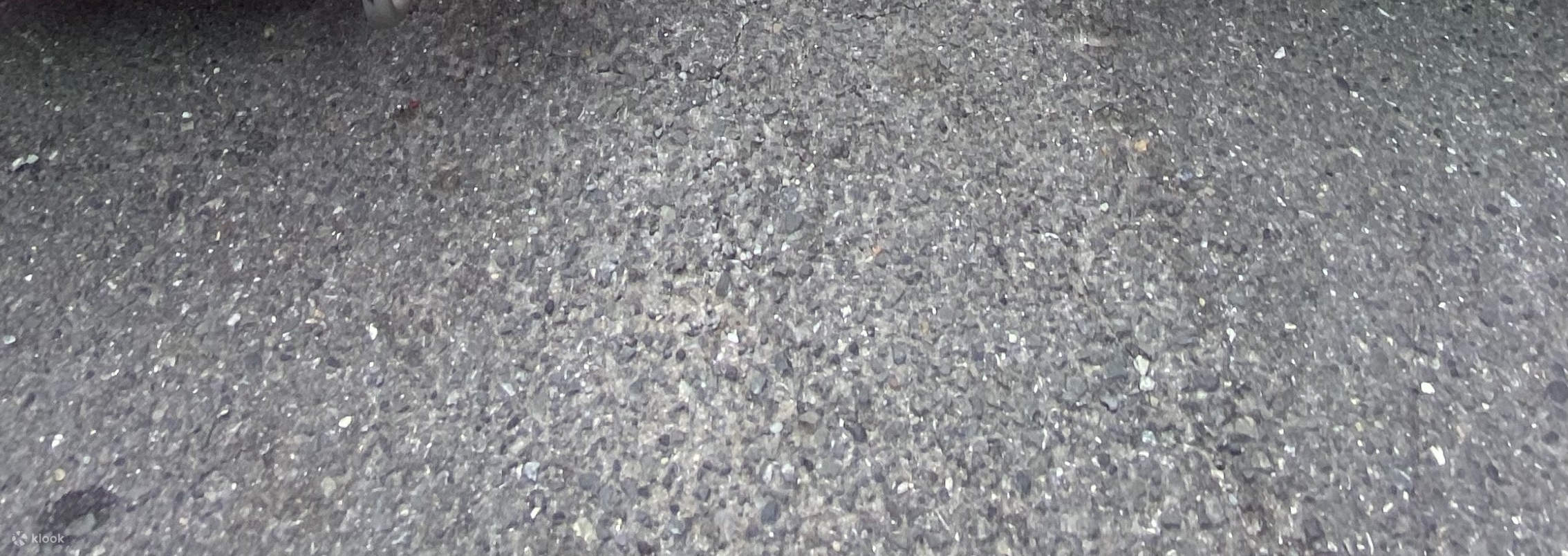 【大阪】ストリートカート体験（元祖ストリートカート提供）