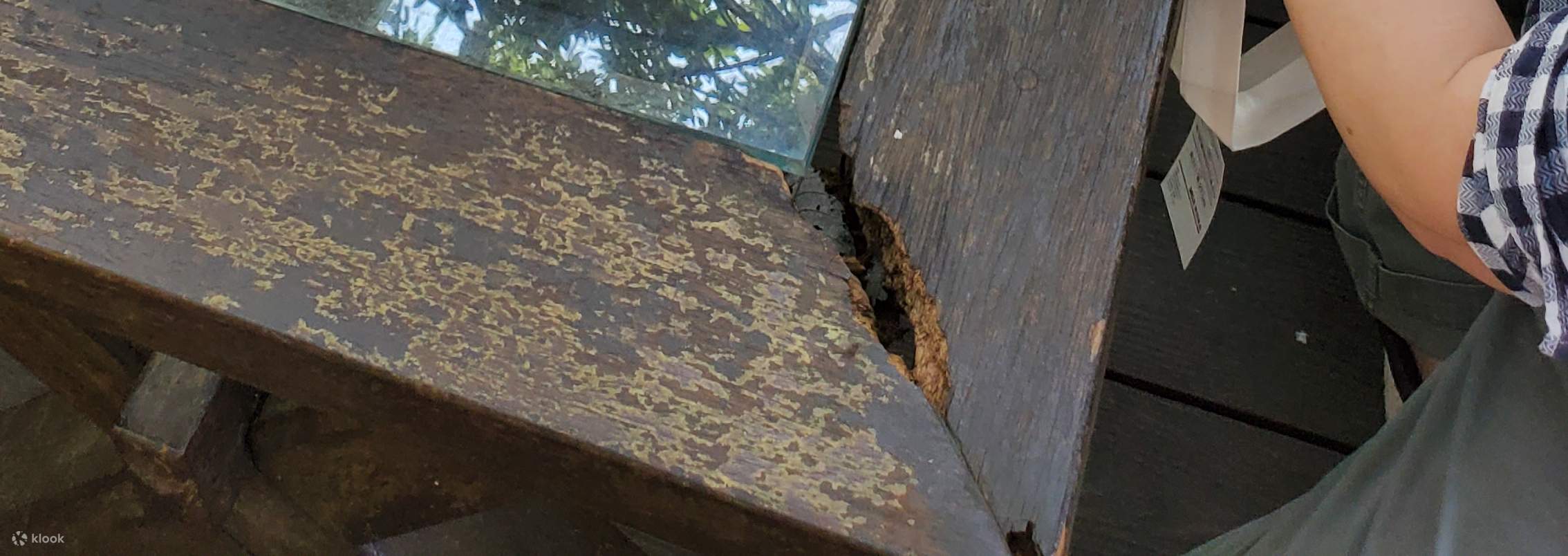 Tainan: Tham quan sinh thái vườn trái cây & trải nghiệm làm mứt thủ công