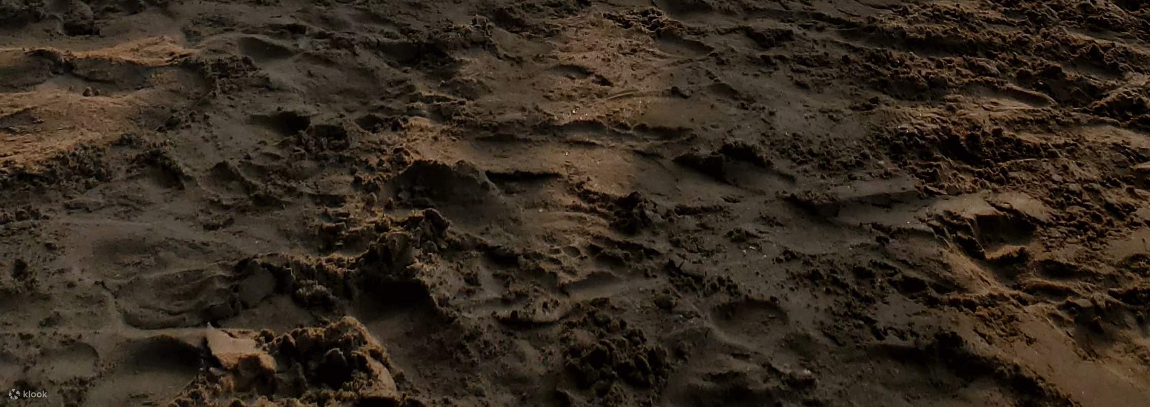 웰리가마 해변에서 즐기는 일출 서핑 레슨! 북적거리는 시간대를 피해 새벽의 아름다운 햇살 아래 서핑을 즐겨보세요.