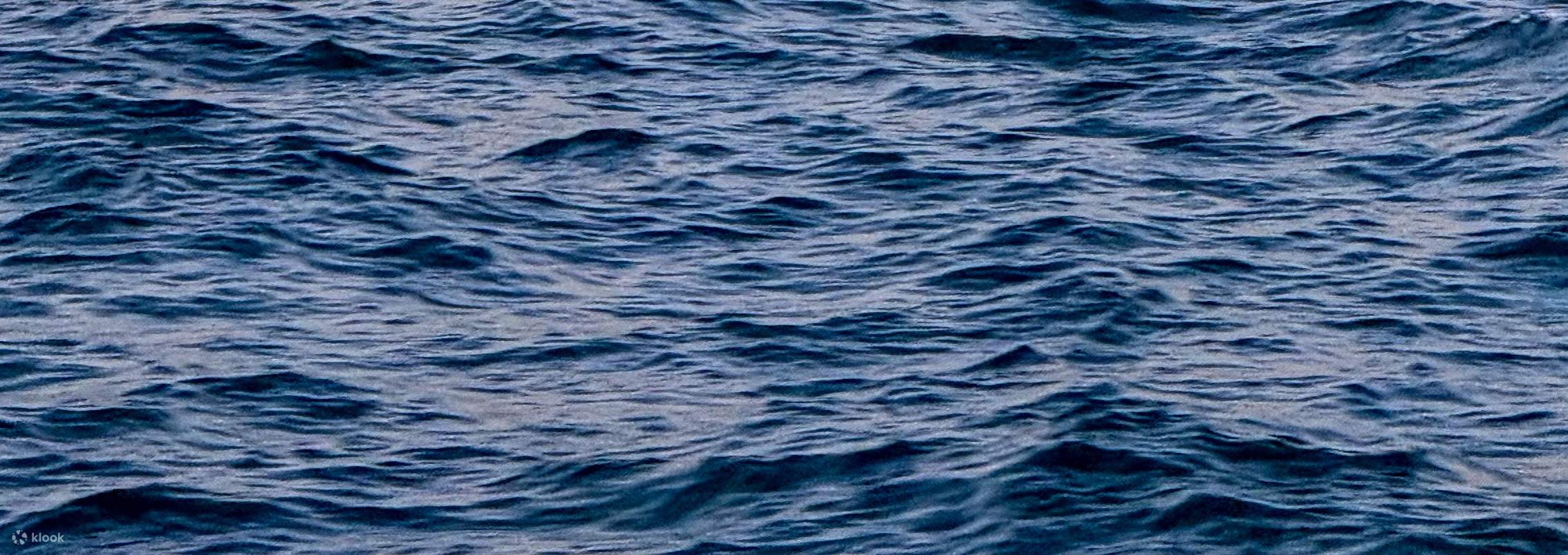 イスタンブール絶景サンセットクルーズ：アジア側探検付き3時間