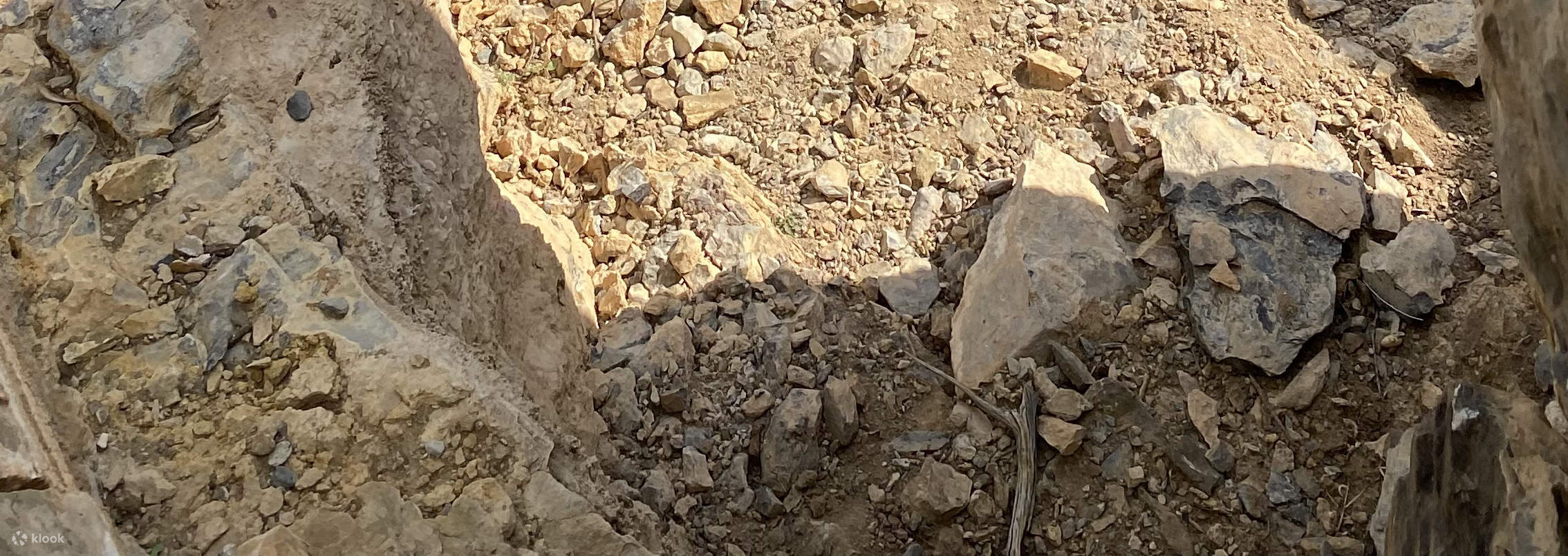 그랜드 캐니언 웨스트 림/사우스 림 투어 (라스베이거스 출발) 