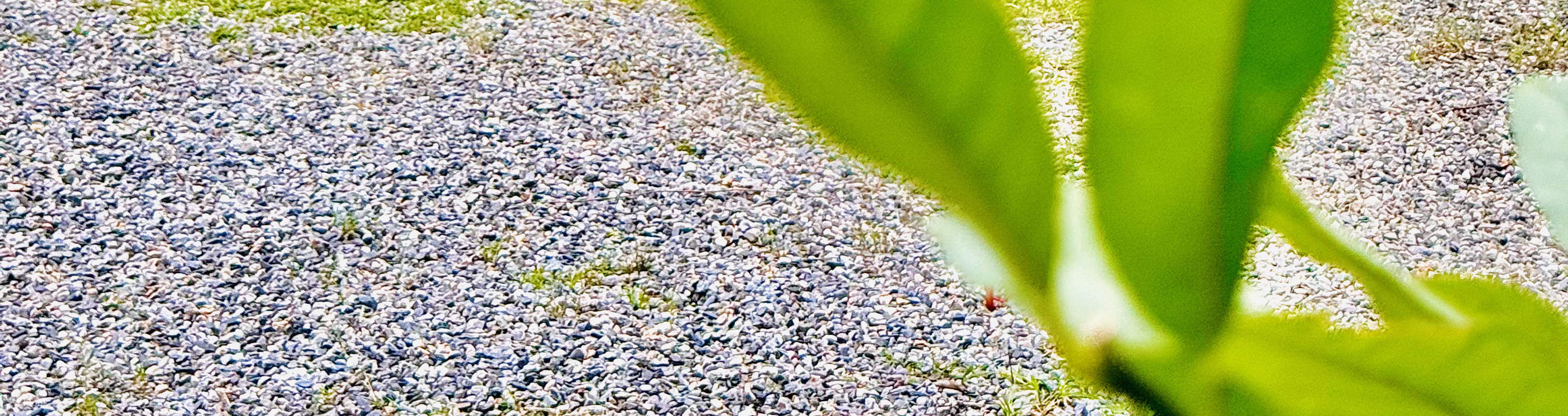 Yilan : Camping tout confort sans tente à Dongao