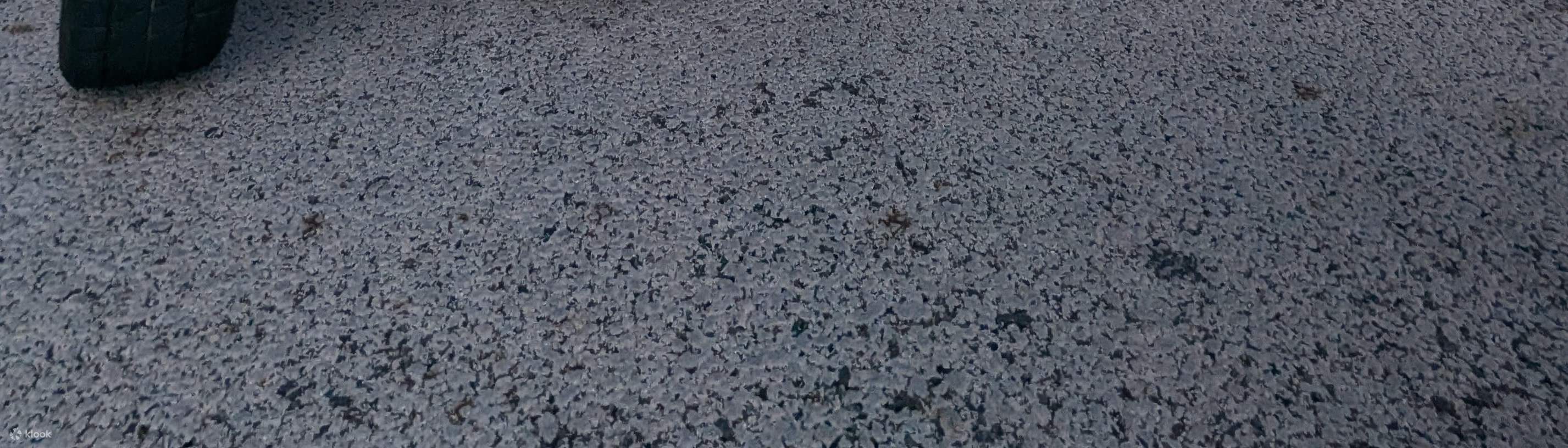 Esperienza Can-Am On-Road ad Asakusa