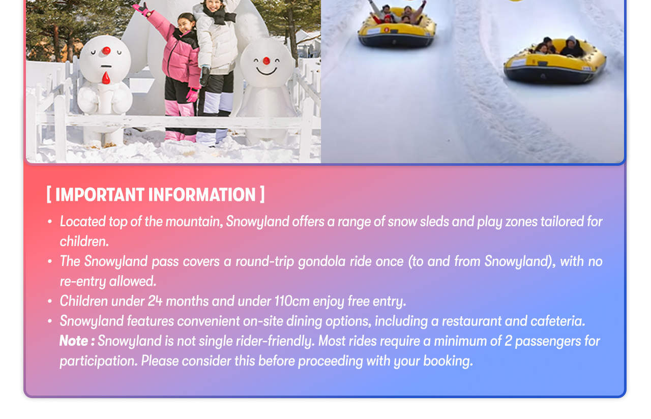 Vivaldi Park Resort Private Car Charter Ski Trip