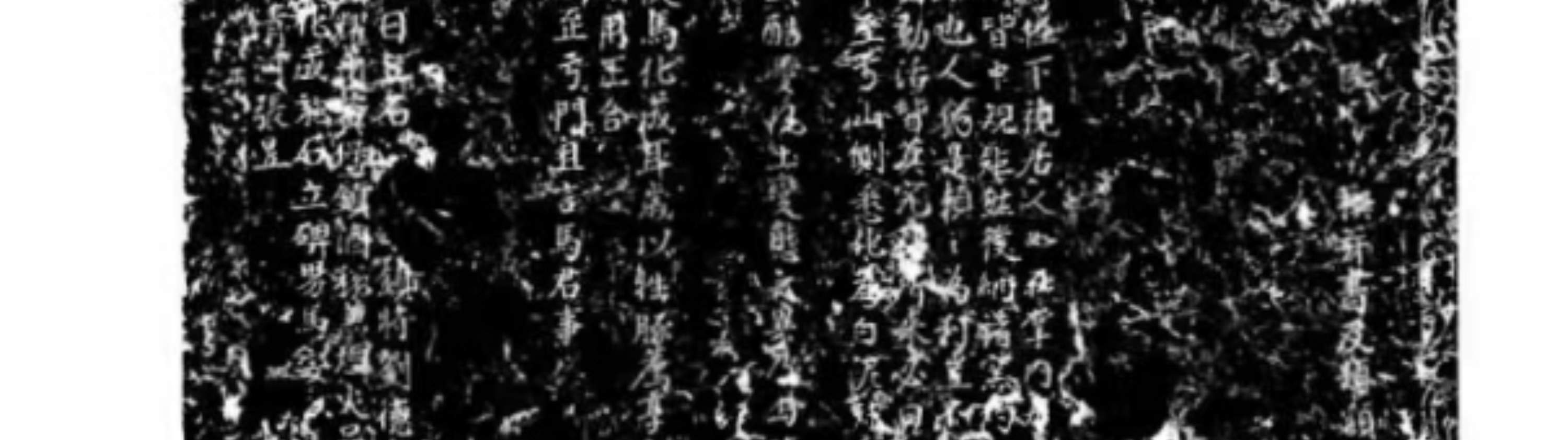 陝西省西安碑林博物館の入場券 + ガイド（プロの中国語ガイド + 古代の