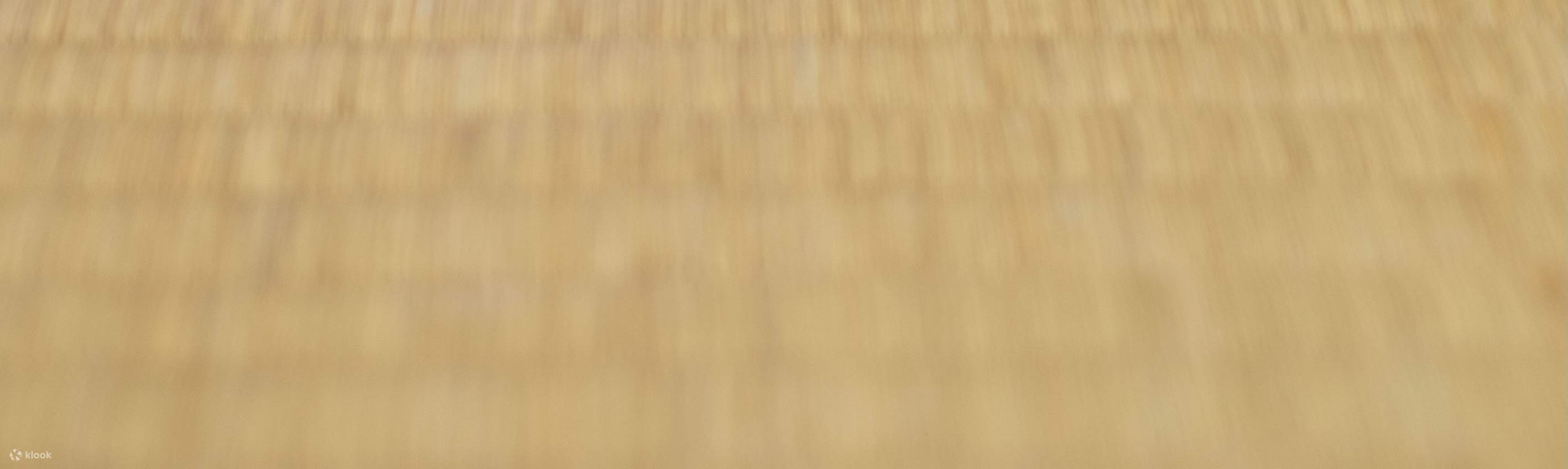 45 Min Join In Kyoto Casual Tea Ceremony in 100-Year-Old Machiya House ...