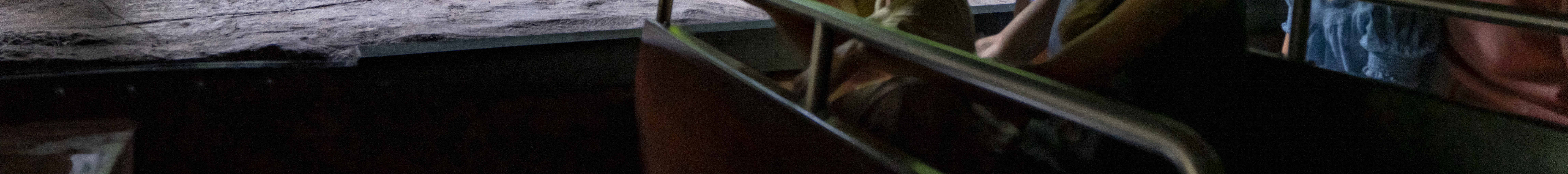 Билет в River Wonders Singapore