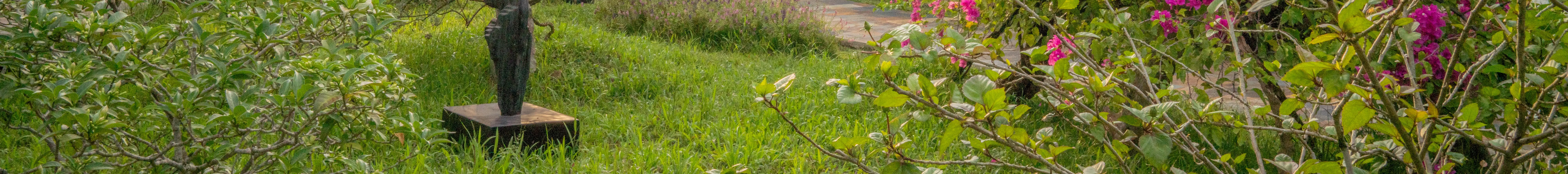 Lê Bá Đảng Memory Space