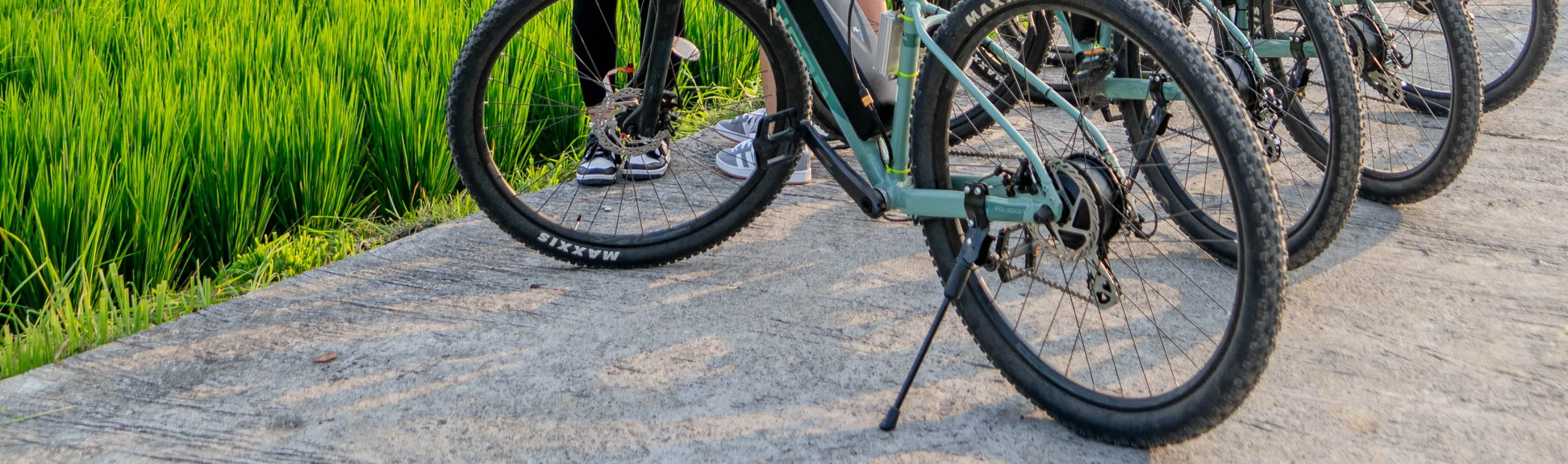 电动自行车日落