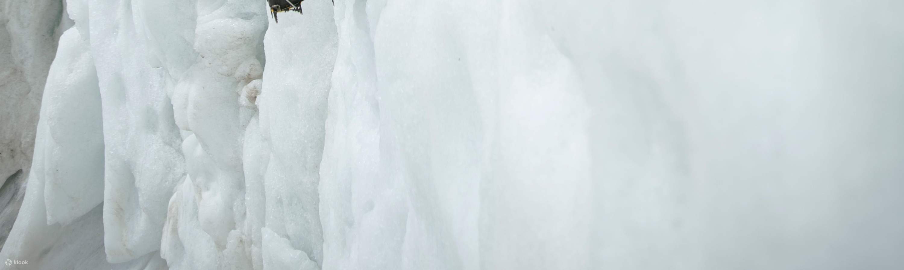 ปีนน้ำแข็งที่ Fox Glacier