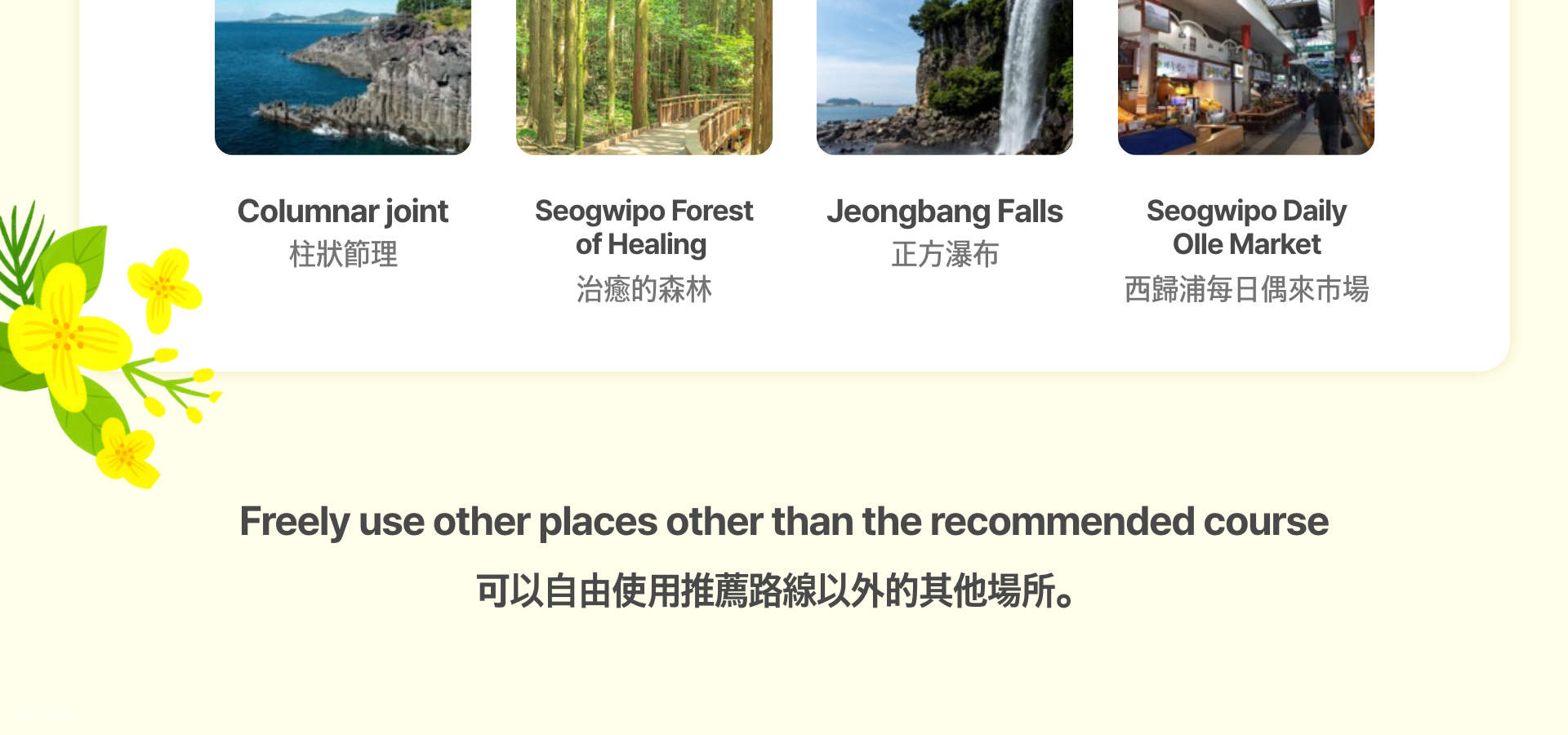 Thuê Xe Riêng Trên Đảo Jeju