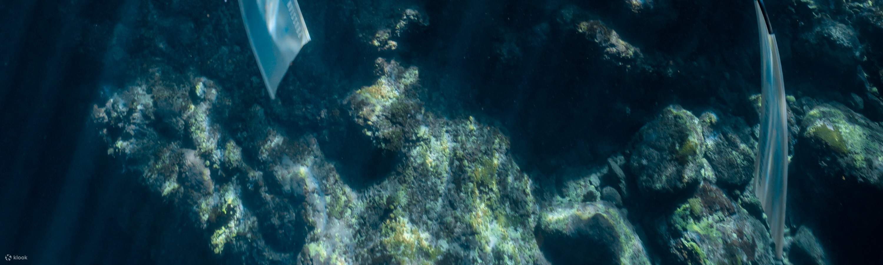 臺東: 綠島自由潛水體驗 (免證照&附海底攝影)