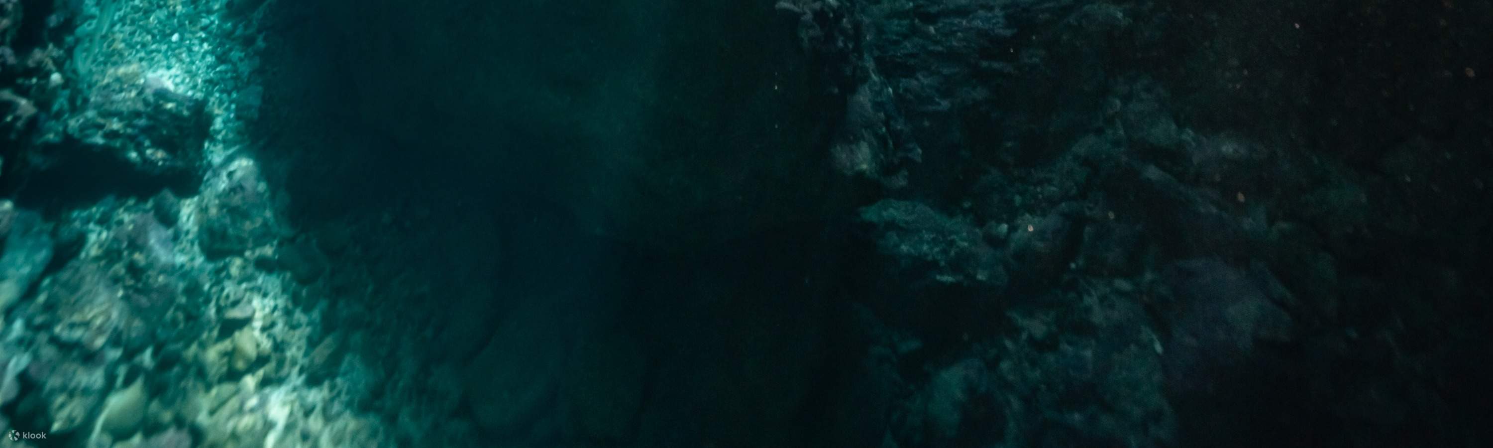 臺東: 綠島自由潛水體驗 (免證照&附海底攝影)