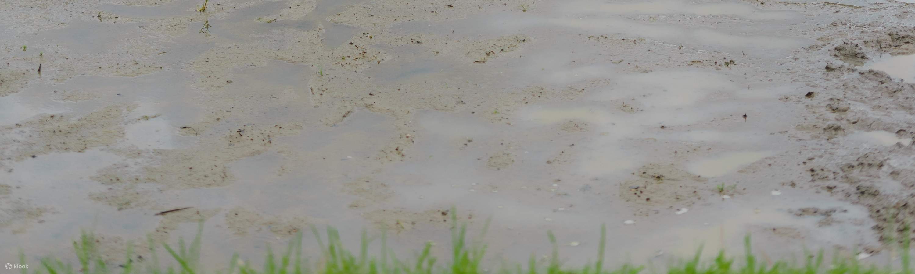 Viaje de curación balinesa, clase de cocina, ciclismo o experiencia de vida balinesa en Bali Rural Commune