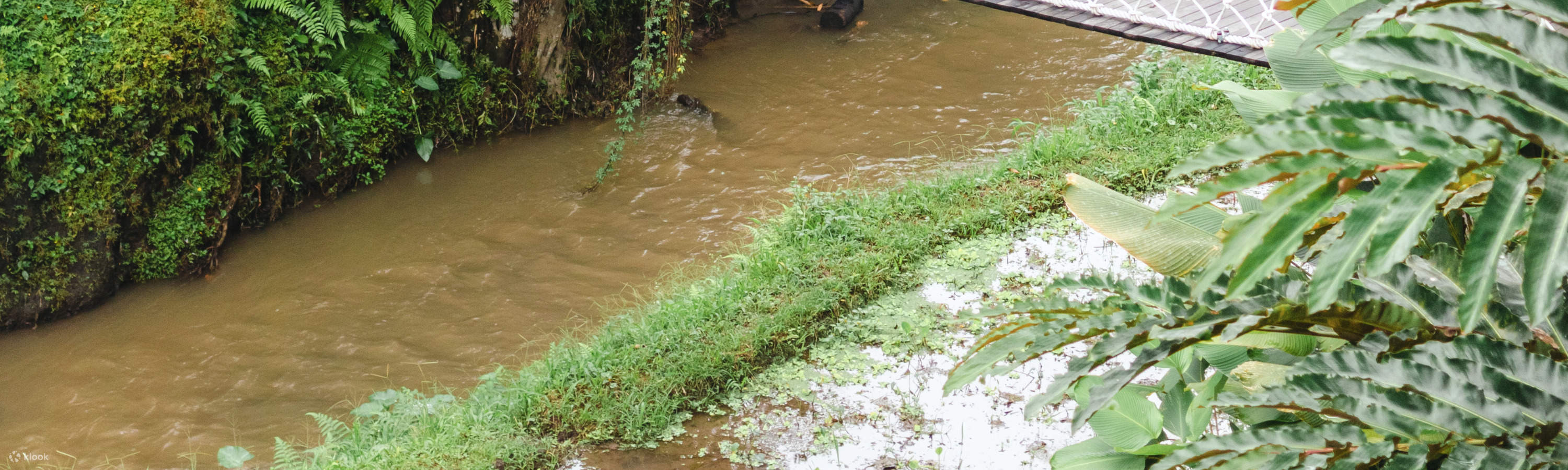 Pengalaman Photoshoot Pribadi di Bali