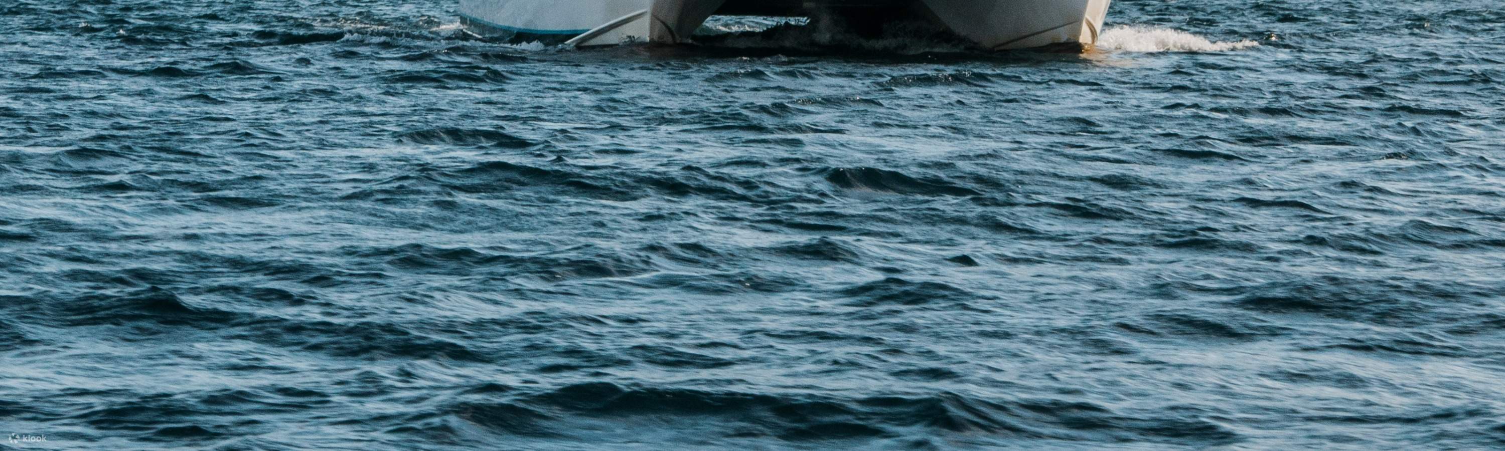 Trải Nghiệm Du Thuyền và Thưởng Thức Món Vẹm Xanh ở Marlborough