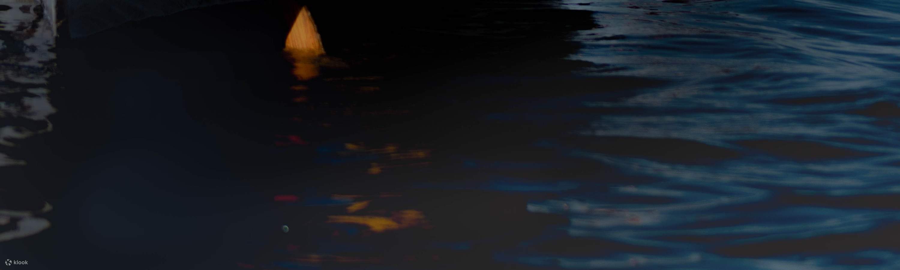 ビッグカヌー 星空観賞ツアー（ロトルア）