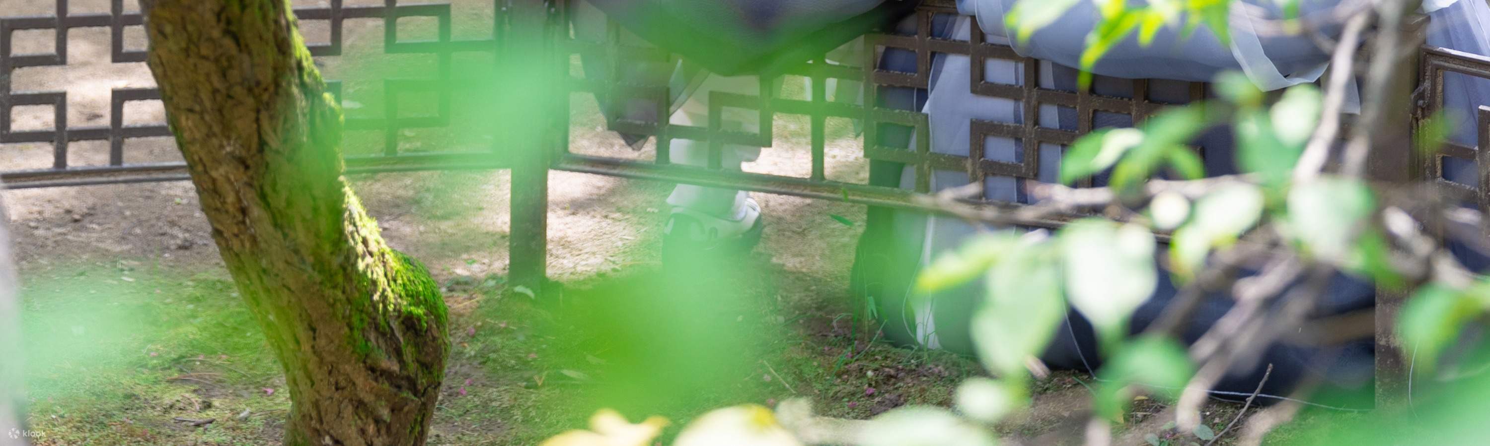 Jeonju Hanok Village Hanbok Experience & Photo Shoot