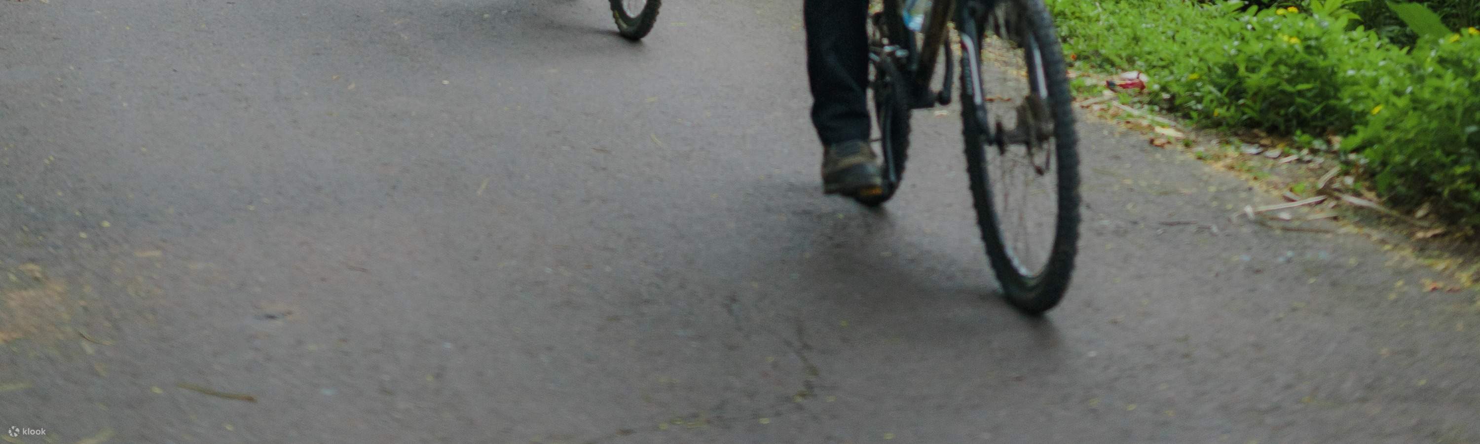 Viaggio di guarigione balinese, corso di cucina, ciclismo o esperienza di vita balinese al Bali Rural Commune