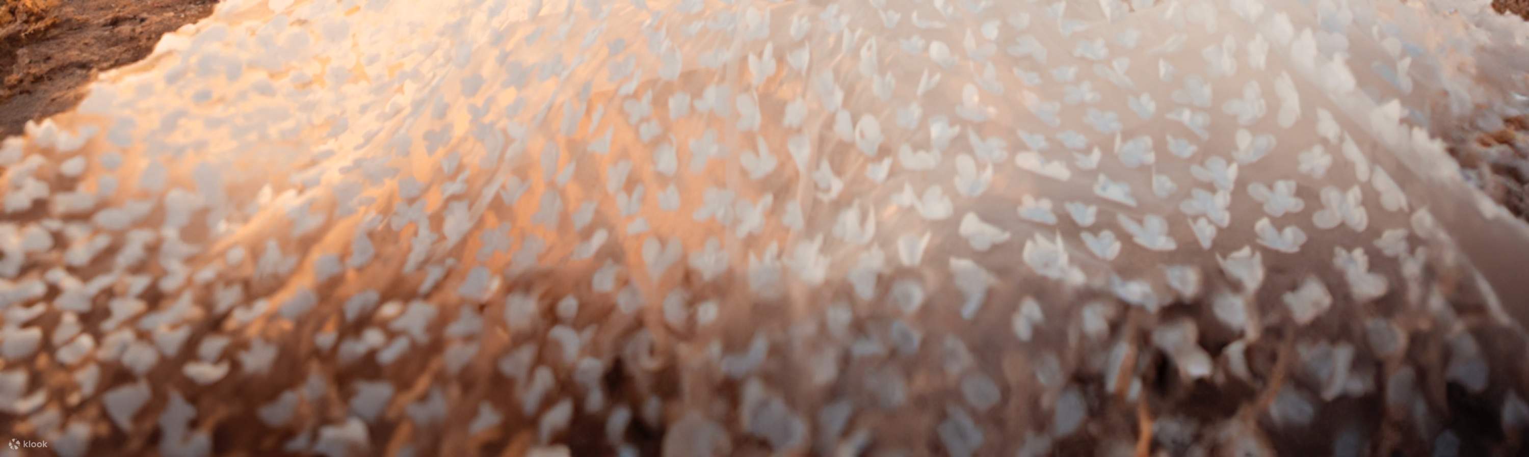 Kappadokien | Privates Fotoshooting mit fliegenden Kleidern