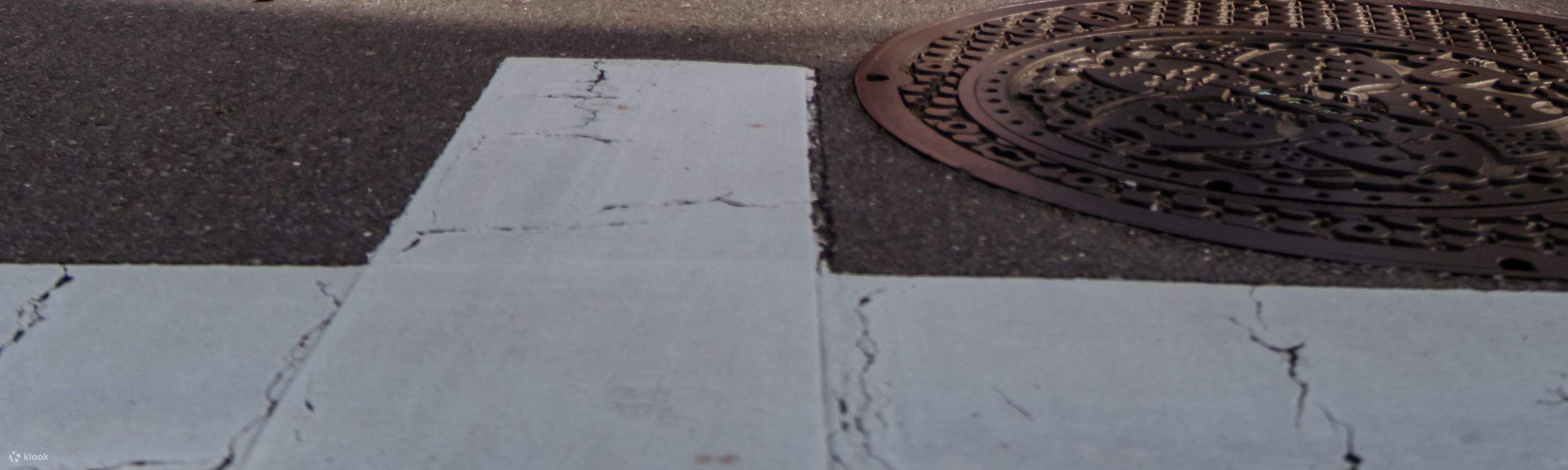 ทัวร์โกคาร์ท Asakusa/อากิฮาบาระ และอ่าวโตเกียว โดย JAPANKART