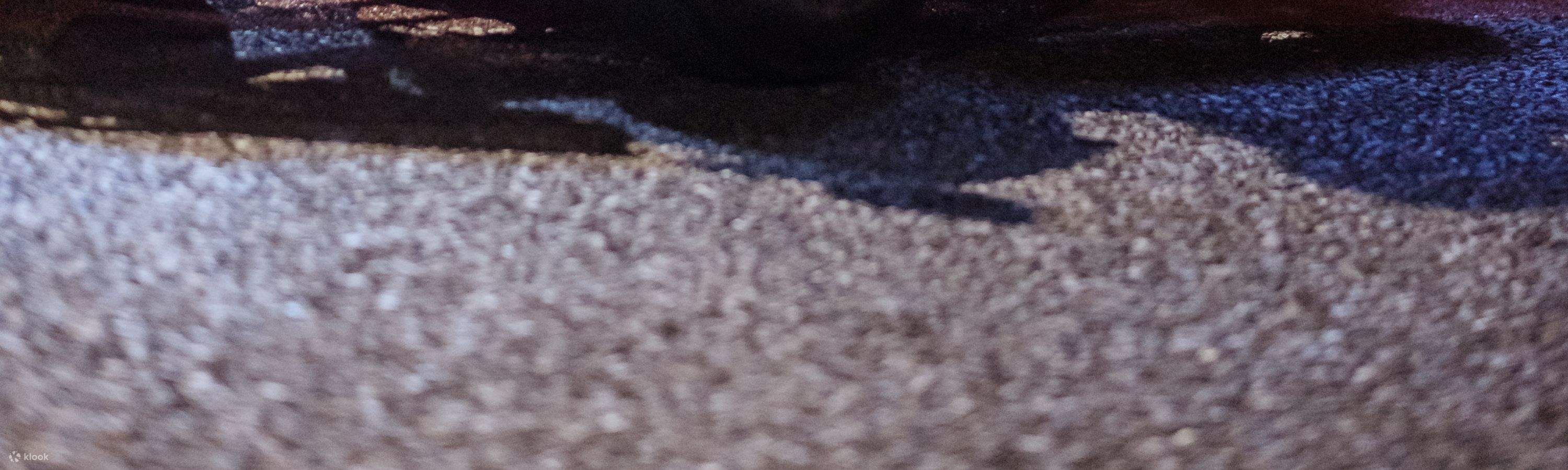 กิจกรรมขับรถโกคาร์ทในอาซากุสะ โดย JAPANKART