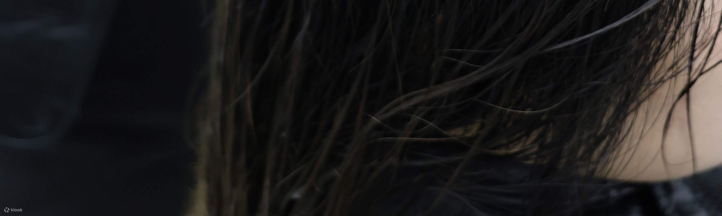 Menghilangkan kotoran yang tersisa di kulit kepala