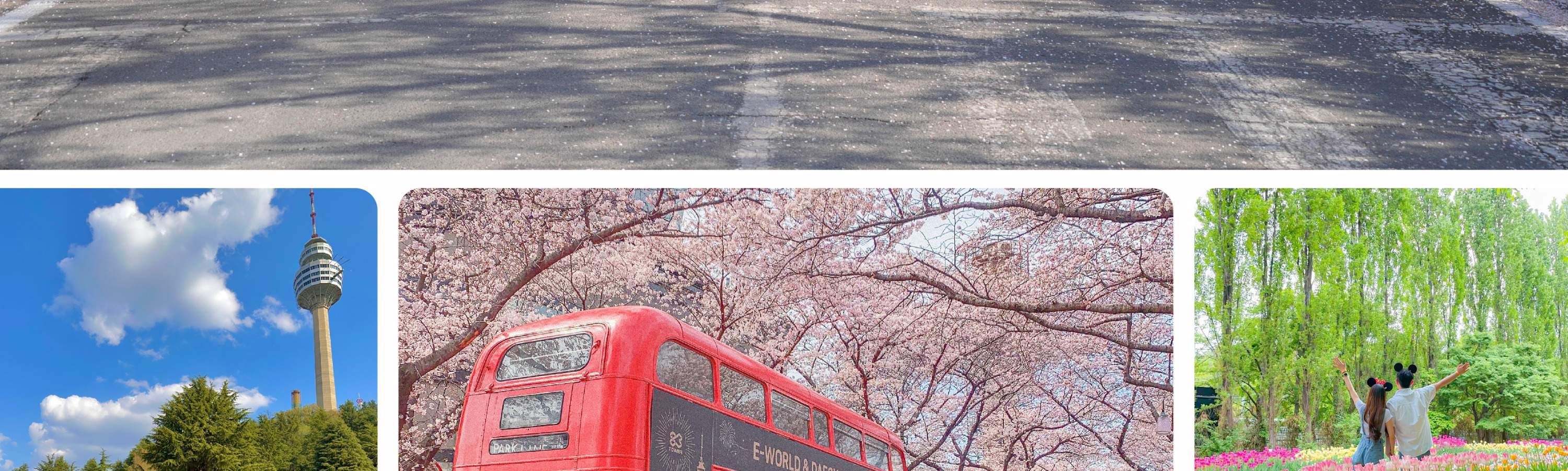 Daegu E-World Day Tour with Admission & Transportation from Busan - Klook