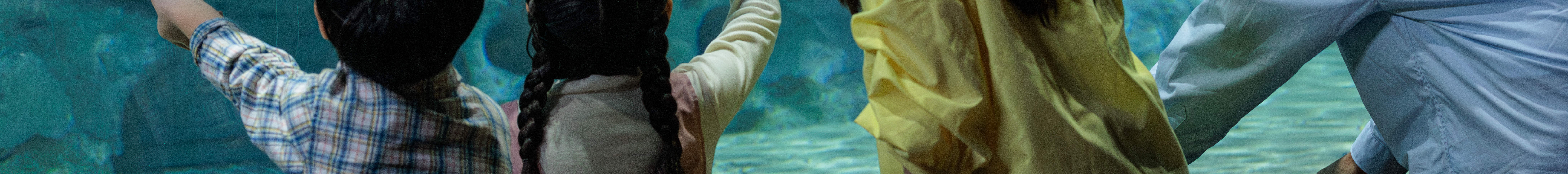 Entrada al Acuario DMM Kariyushi en Okinawa